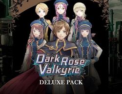 Дополнение к игре IDEA FACTORY INTERNATIONAL Dark Rose Valkyrie Deluxe Pack, для ПК, регион: Россия,СНГ