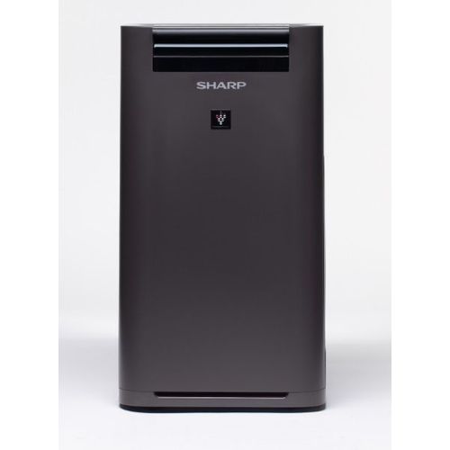 Очиститель воздуха Sharp KC-G41RH