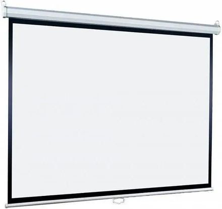 Экран Lumien Eco Picture LEP-100109, 203х203 см, 1:1, настенно-потолочный